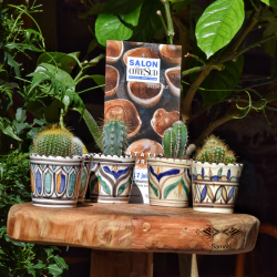 Verre à café Gamra | Pot à cactus